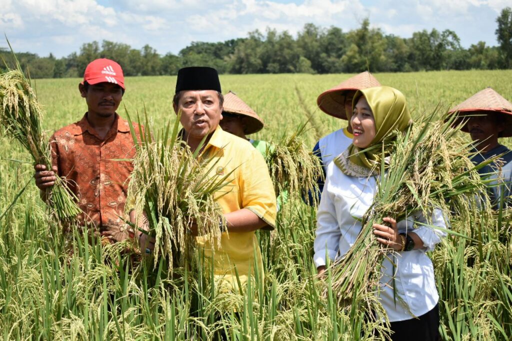 Ekonomi Provinsi Lampung Tumbuh 4,8% Berkat Sektor Pertanian