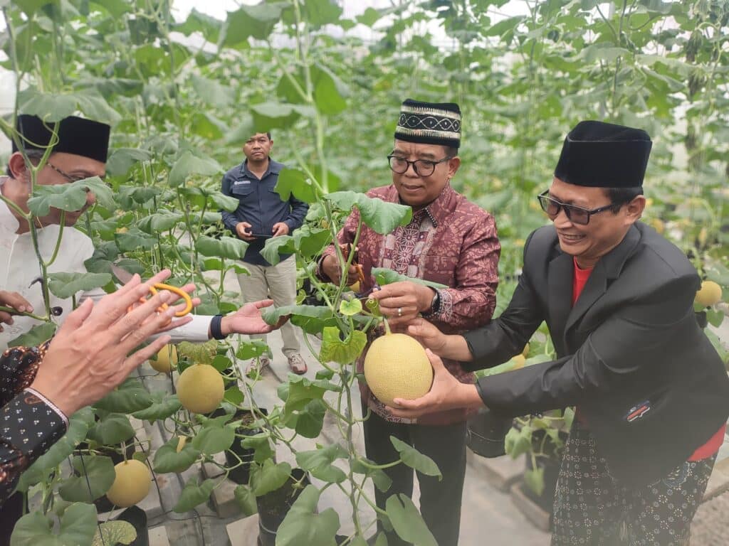 Sekolah Melon Berbasis Teknologi IoT di Lampung Selatan