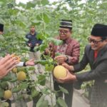 Sekolah Melon Berbasis Teknologi IoT di Lampung Selatan